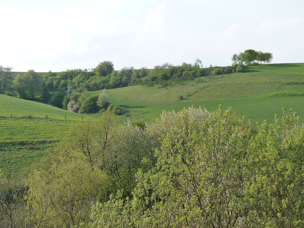 Wandern in der Eifel - Typische Eifellandschaft